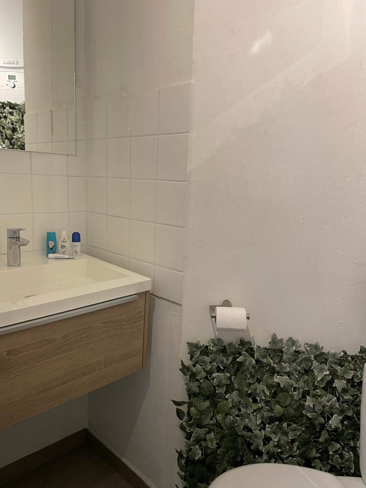 Private Studio In アントウェルペン エクステリア 写真